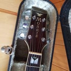 Gibson Acoustic Guitar 1981 Vintage Morris Mg600 Used No Major Damage