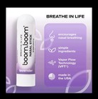 Set Of 4 Boom Boom Nasal Sticks