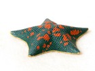 Kitan Club Ntc Mono Oceanside Creature Blue Bat Star Starfish Magnet Us Seller