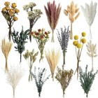 16 Varieties Dried Flowers Set  Mini Natural Dried Flowers Bulk With Stems Fo   