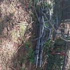 15 Ft Gray Steel Ladder Tree Stand W  Shooting Rail  300 Lb Capacity