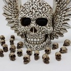 Mini Skulls Decoration 20pcs Fake Skeleton Heads Reusable Skulls Crafts 