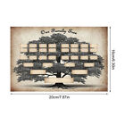 Family Tree Chart Blank Hand-written Indoor Decor Collection Significance