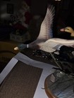 Small Mallard Duck In Flight W  Wood Base Hunting Lodge Cabin Nature Countrycore