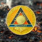 2 Year Aa Gold Plated Alcoholics Anonymous Aa Chips And Medallion Sobriety Gifts
