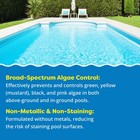 In The Swim Algaecide 60 Plus For Swimming Pools - Non-metallic  Low Odor 