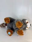 Webkinz Raccoon 2026 Nwt