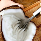 1 Pc Stainless Steel Coconut Grater   Fish Scaler - Multi-purpose Kitchen Tool