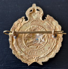 British South Africa Police Badge