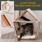 Cat House  Modern  Teak-finish Pine Frame  Canvas Tent  Hammock And Pillow Bed