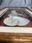 Vintage Marvin Lewis Exotic Seashells Triple Cut Nautilus Shadow Box Framed Art
