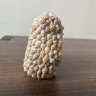 Vintage Owl Figurine Shelf Sitter Made Of Tiny Sea Shells 3 5   