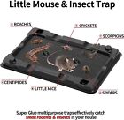 Mouse   Insect Traps 12 Pack  Heavier Sticky Traps With Non-toxic Glue For Mice