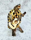 Real Turtle Taxidermy Oddity Guitar Mariachi Toad Lizard Reptile