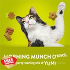 Friskies Purina Party Mix Morning Munch 20oz