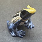 Poison Frog  Blue Mantella  3387  Baked Enamel  Australian Crystals Trinket Box