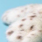 Je lly Cat Plush Toy With White Seal Galumphous Seal Soft Toy Stuffed Toy 10in