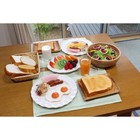 Japanese Fake Food Omelet Breakfast Plate Highly Realistic Replica Display Japan