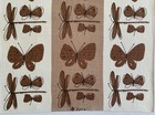 Vintage Tea Towel  Stylized  Butterflies And Dragonflies Vera Fall Decor