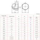 Dome Nuts A2 Stainless Acorn Hex Domed Cover Cap Nuts M3 4 5 6 8 10 12 14 16 24