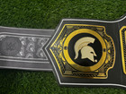 Michigan State Spartans Ncaa Championship Title Legacy Belt Adults Size 2mm Zinc