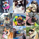 Dog Sunglasses Pet Goggles For Medium Large Uv Protection Wind Protection Dus   