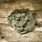Ruck   s Pit Fossil Clam With Honey Calcite Crystals     Ft  Drum  Fl  9