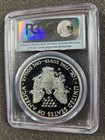      2014-w American Eagle 1 Oz  999 Silver Dollar Proof Coin Pcgs Pr70 Dcam Fs