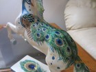 Trail Of Painted Ponies - Appaloosa Peacock  Signed By Lynn Bean - Free Shipping
