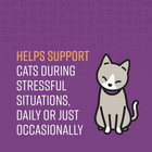 Sentry Calming Chews For Cats 4 Oz Stress Relief Chews For Anxious Cats