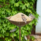 Hlqmfht 28 5  Cast Iron Pedestal Bird Bath Outdoor Garden Decor