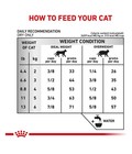 Adult Urinary Diet Feline Adult Dry Cat Food 7 7 Lb Bag New