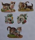 Lot Of 5 Victorian Antique German Scraps-die-cuts  Cats   Kittens Orig  Ephemera