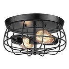  2-light Flush Mount Ceiling Light Fixture  Farmhouse Industrial Black Ceiling 