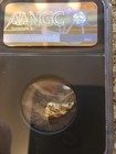 Mexico Gold Nugget - Caborca - 3 16 Grams Certified Ngc Unvaulted Vault Box