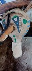   awesome Native American Louisiana Tribal Gourd Mask Large  Very Unique Rare  