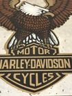 Vtg Harley Davidson Rare Eagle Mirror Framed Picture Motorcycle Bar Sign 18   x14   
