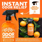 Pet Odor Eliminator For Dog And Cat Urine  Carpet Stains  And Strong Smells     Ci