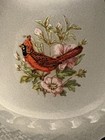Mosser Frosted Cardinal Bird Decal Courting Fairy Light