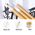 Chinese Calligraphy Brush Set Writing Drawing Ink Brushes  Japanese Kanji