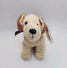 Ty Beanie Babies Baby Dog Rufus Welsh Terrier - 2000 Vintage - With Tag