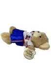 Dan Dee Teddy Precious 18    Vintage Usa Track Suit Teddy Bear Rare Htf