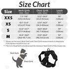 Rabbitgoo Pet Cat Harness Dog Adjustable Reflective Vest Escape Proof Black Xs