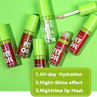 4 Colors Lip Oil Lip Glaze  Hydrating Lip Glow Oil Big Brush Head Shiny Moisturi