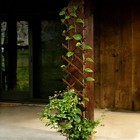 Expandable Garden Trellis  13  X 68  Thickened Wooden Lattice Trellis For Cli   