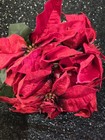 Artificial Poinsettia Flower Bush Velvet Holiday Bouquet 24  Tall X 12  Wide