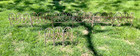 9 Vtg Pc Architectural Cast Iron Victorian Garden Border Edging Fence 18x6 18x18