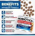 2 Pack Probiotics For Dogs And Digestive Enzymes Dog Probiotics Treats 340 Chews