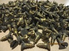 40--vintage Solid Brass Wood Screws With Flat Slot Heads  1 2  Long X  8 11 64 