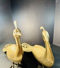 Vintage Pair Of Brass Japanese Peacocks  Large   Heavy Male   Female 23   long